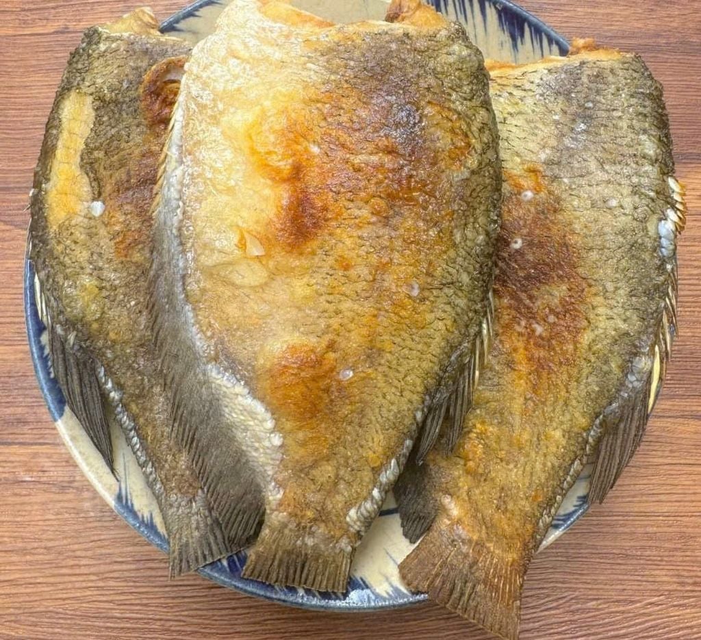 Cá Sặc Campuchia 1 Nắng Size Đại