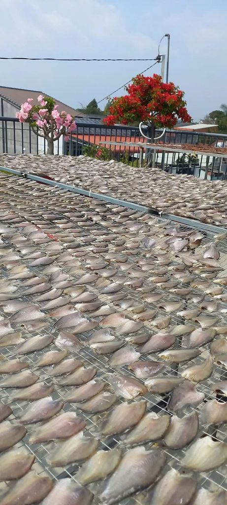 Khô Cá Sặc Đồng 2 Nắng - 500GR