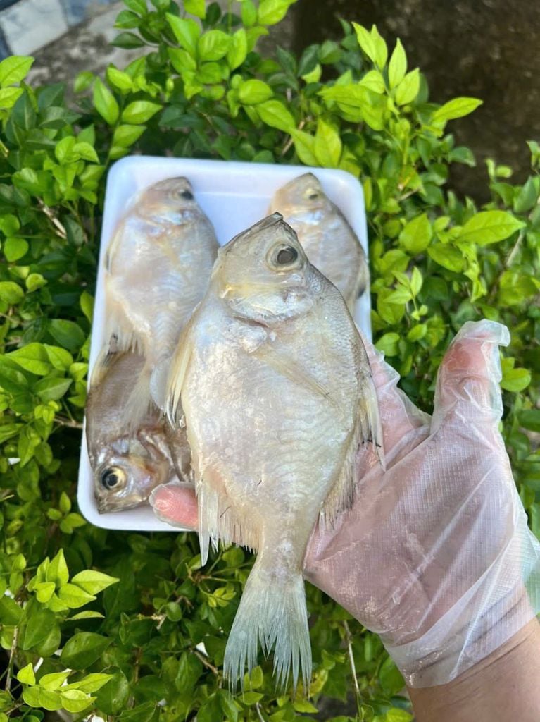 Khô Cá Sơn Campuchia