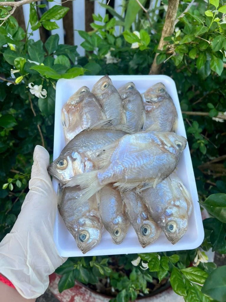 Khô Cá Sơn Campuchia 1 Nắng - 500Gram