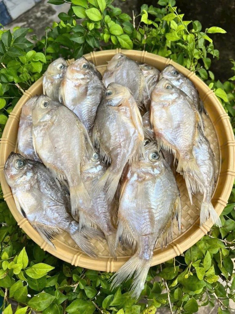 Khô Cá Sơn Campuchia 1 Nắng - 500Gram