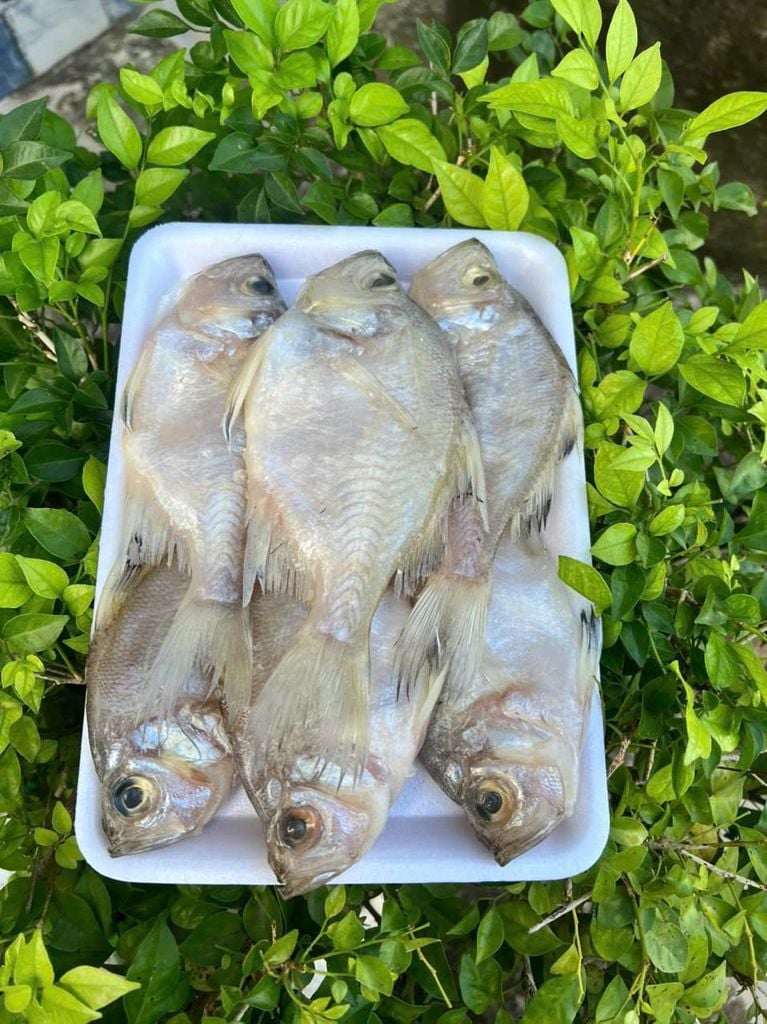 Khô Cá Sơn Campuchia