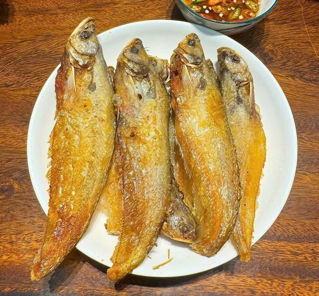 Khô Cá Trèn 1 Nắng 1Kg