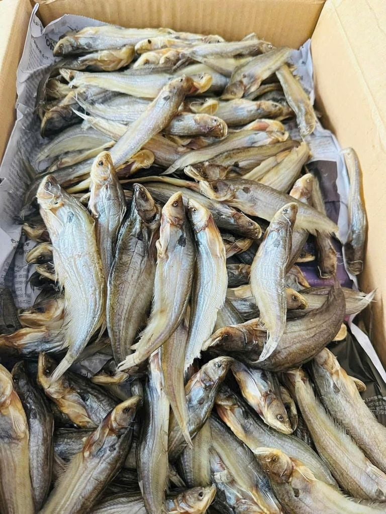 Khô Cá Trèn 3 Nắng - 500Gr