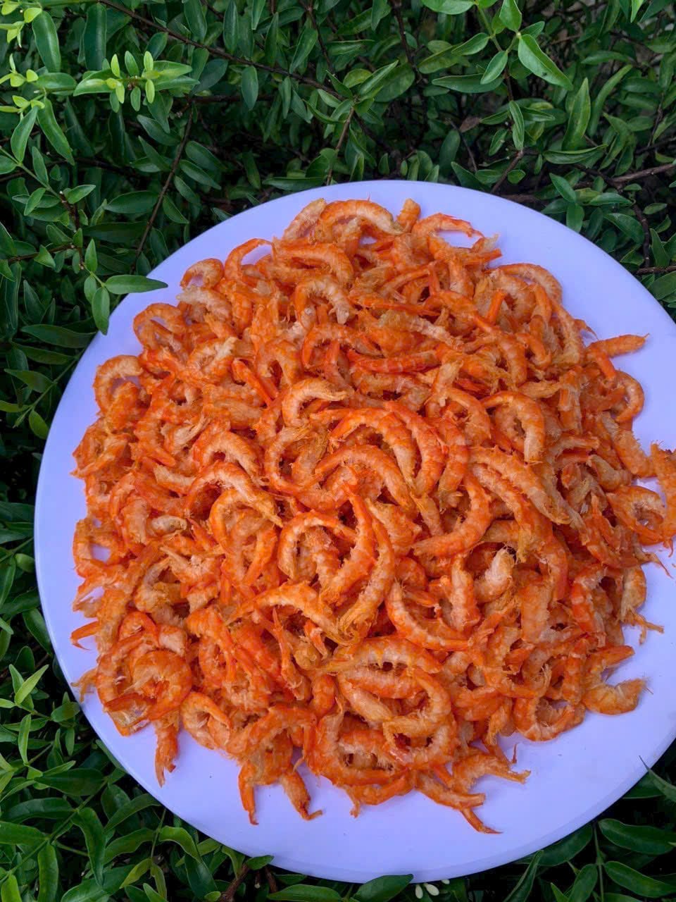 Cà Mau Tăng Cường Sản Xuất Tôm Khô Nguyên Vỏ Mời Mừng Tết Nguyên Đán