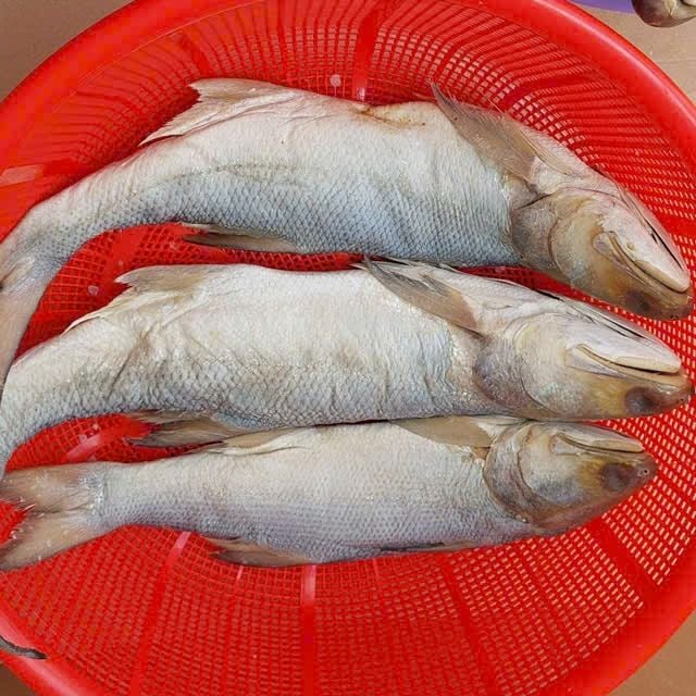 Mắm Cá Chét Muối Dùi Mềm Thơm