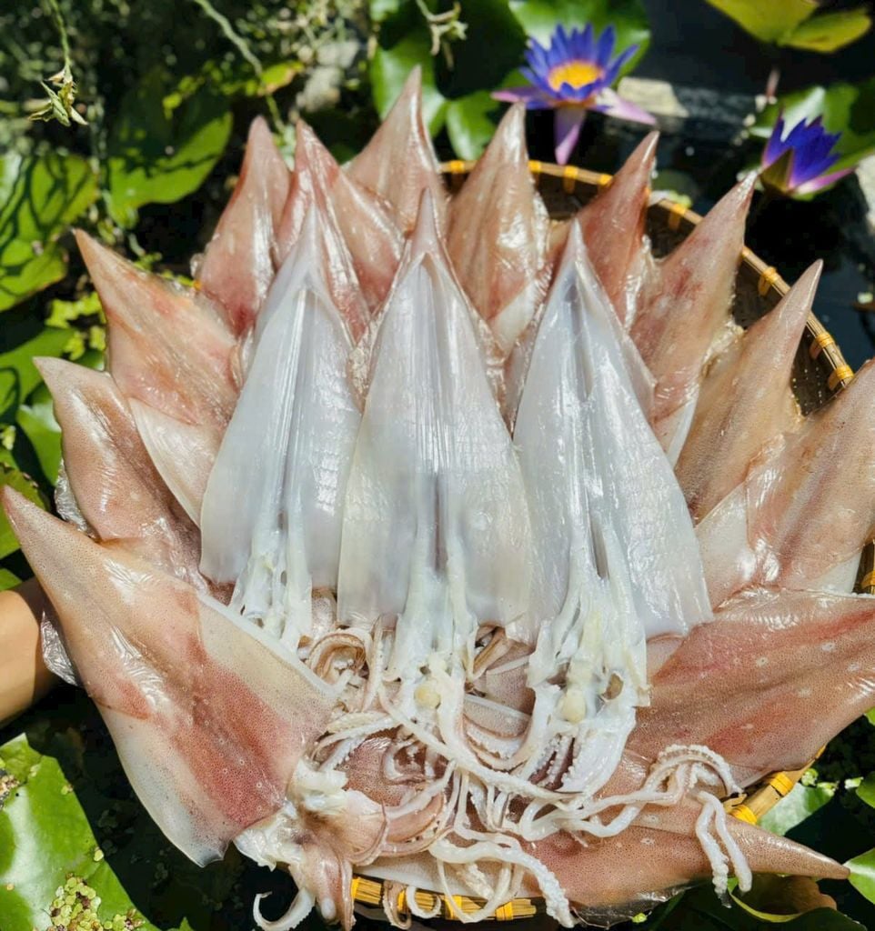 Mực Ống Dẻo 2 Nắng Vip 500Gr