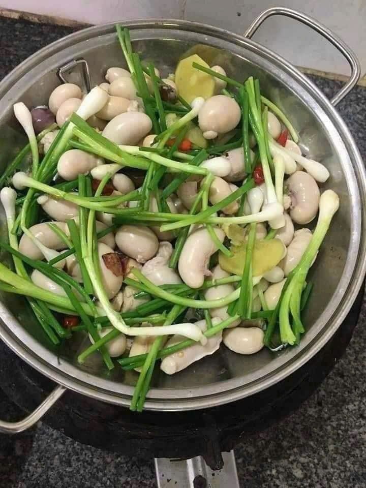 Ngọc Kê Gà Tây 500Gr