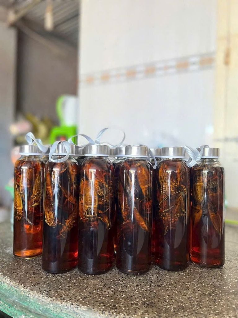 Nước Mắm Cà Cuống Loại 1