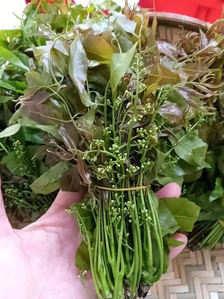 Rau Sầu Đâu - 1KG