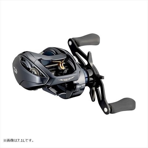 Máy câu Daiwa A TW HLC 2021