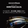 DAIWA MORETHAN GALVA – MỒI SINKING PENCIL HUYỀN THOẠI CHO CÁ VƯỢC VÙNG CỬA SÔNG VÀ CẢNG BIỂN