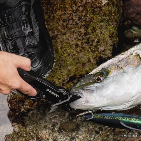 Kẹp cá Shimano Crip  R UE-302T 2025