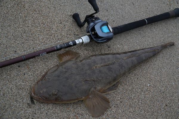 Cần câu FISHMAN BC5 9.6MH ( Đặt trước T11~T12/2025)