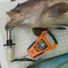 CÂN CÁ ĐIỆN TỬ SEABONDS 50KG