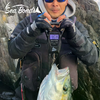 CÂN CÁ ĐIỆN TỬ SEABONDS 50KG