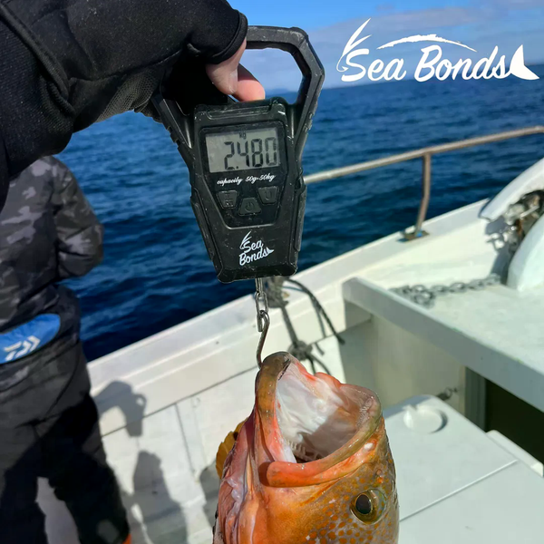 CÂN CÁ ĐIỆN TỬ SEABONDS 50KG