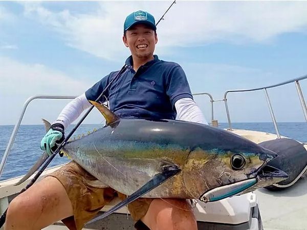 Cần câu TRANSCENDENCE Ghibli80S