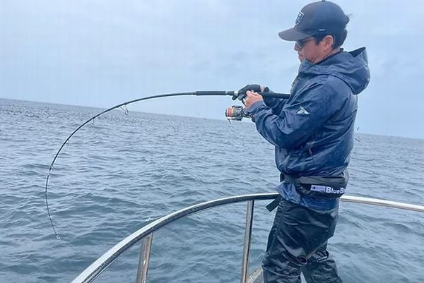 Cần câu TRANSCENDENCE Ghibli80S