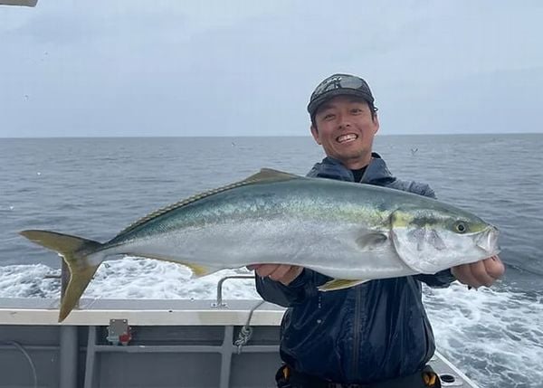 Cần câu TRANSCENDENCE Ghibli80S