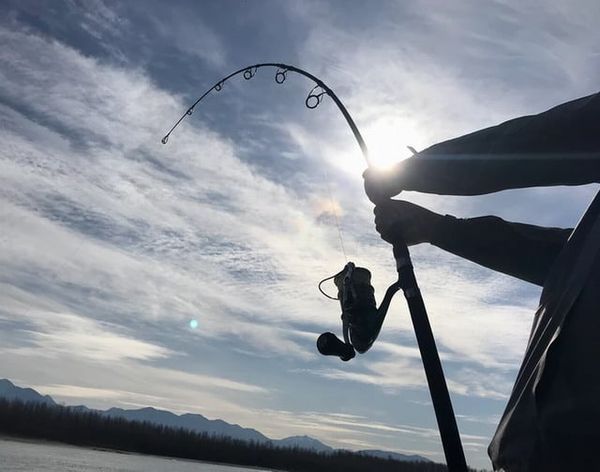 Cần câu TRANSCENDENCE Monsterfin70S