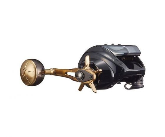 Máy câu điện DAIWA SEABORG G300 2022