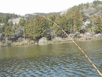 Hera 月光 柔 (Nguyệt Quang Nhu)