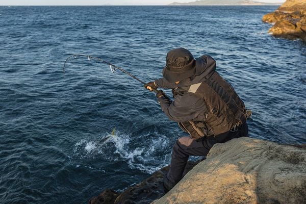 CẦN CÂU GHỀNH COLTSNIPER XTUNE 2025