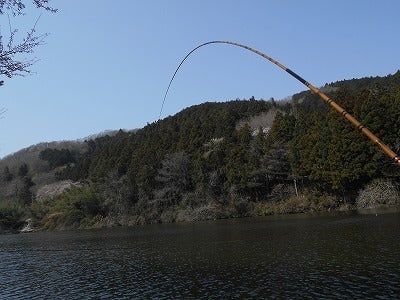 Hera 月光 柔 (Nguyệt Quang Nhu)