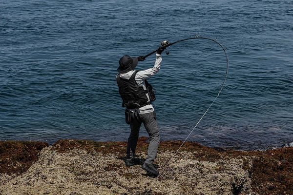 CẦN CÂU GHỀNH COLTSNIPER XTUNE 2025