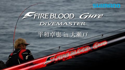 SHIMANO ISO FREE BLOOD GURE