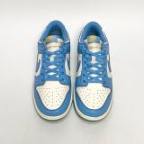  NIKE DUNK LOW COAST DD1503-100 