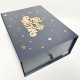  LOUIS VUITTON TRAINER LOW TOP 1AA80W 