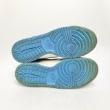  NIKE DUNK LOW COAST DD1503-100 