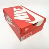  NIKE DUNK LOW COAST DD1503-100 