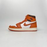  NIKE AIR JORDAN 1 RETRO HIGH OG STARFISH DO9369-101 