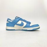  NIKE DUNK LOW COAST DD1503-100 