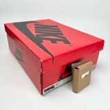 NIKE AIR JORDAN 1 RETRO HIGH OG STARFISH DO9369-101 