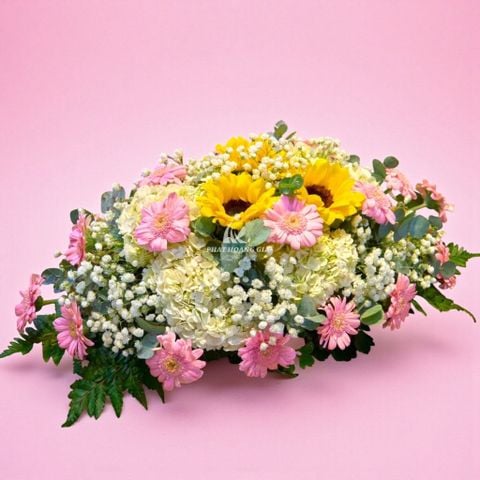  Hoa bàn gia tiên - Gặp Gỡ - 11719 