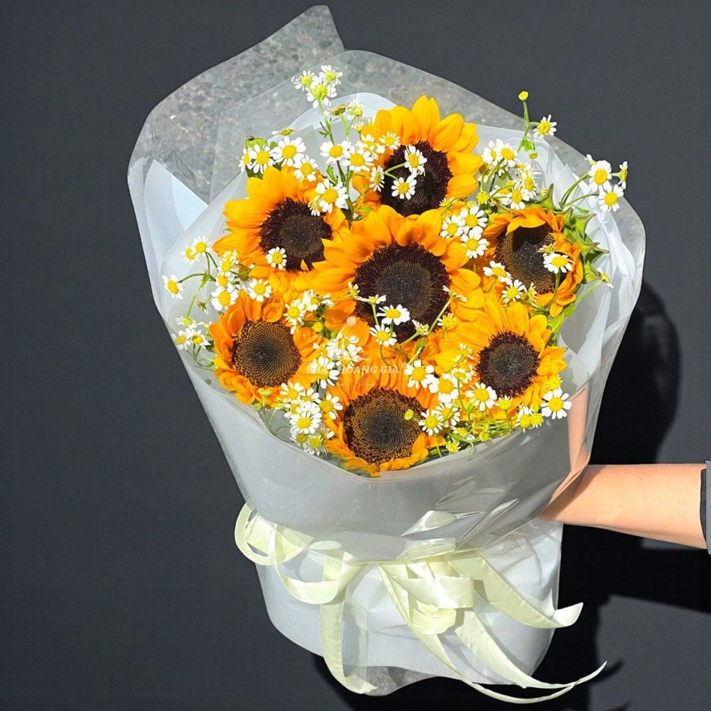 Hoa Cúc Tana - Ngày Có Nắng - 11758