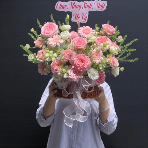  Ngày Quốc tế Phụ nữ (8/3) - Ánh Bình Minh 5 - 23350 