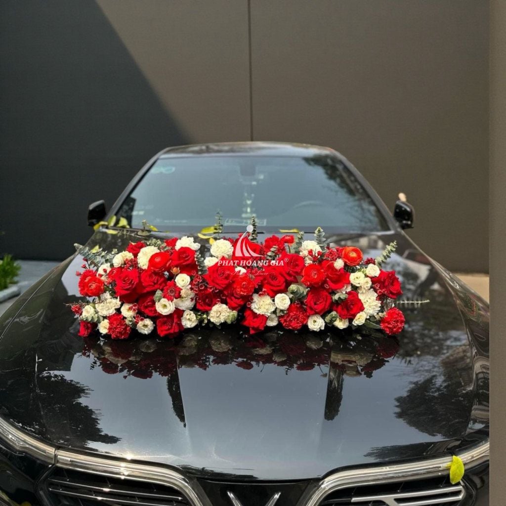 Xe hoa - Hành Trình Mới 6 - 25114