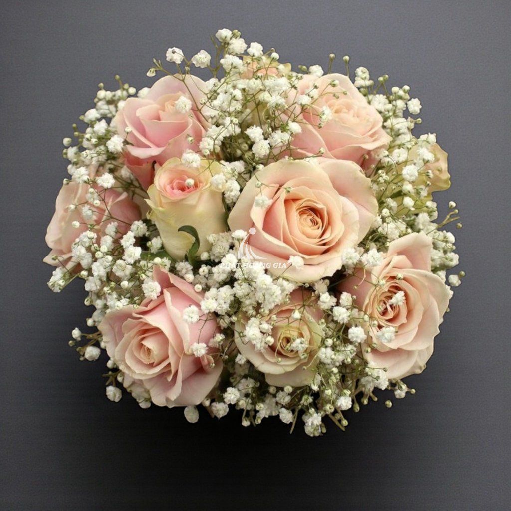 Hoa bàn Garelly - Victory 1 - 25080