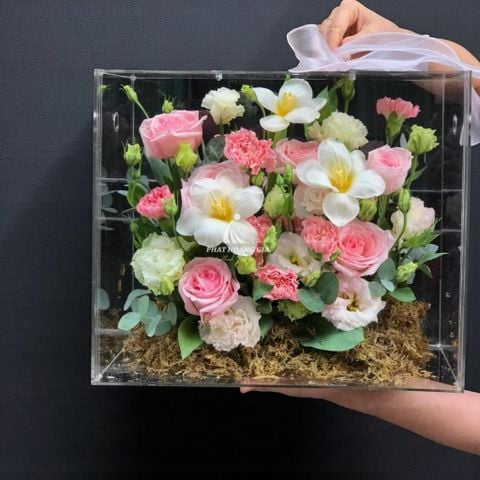  Hộp hoa Mica - Mica Flower Lux 5 - 25013 