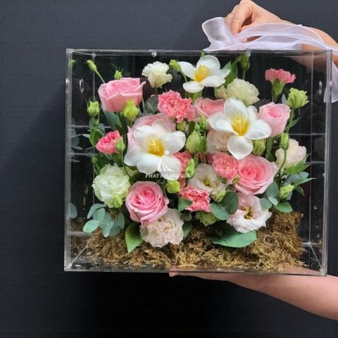  Hộp hoa Mica - Mica Flower Lux 5 - 25013 