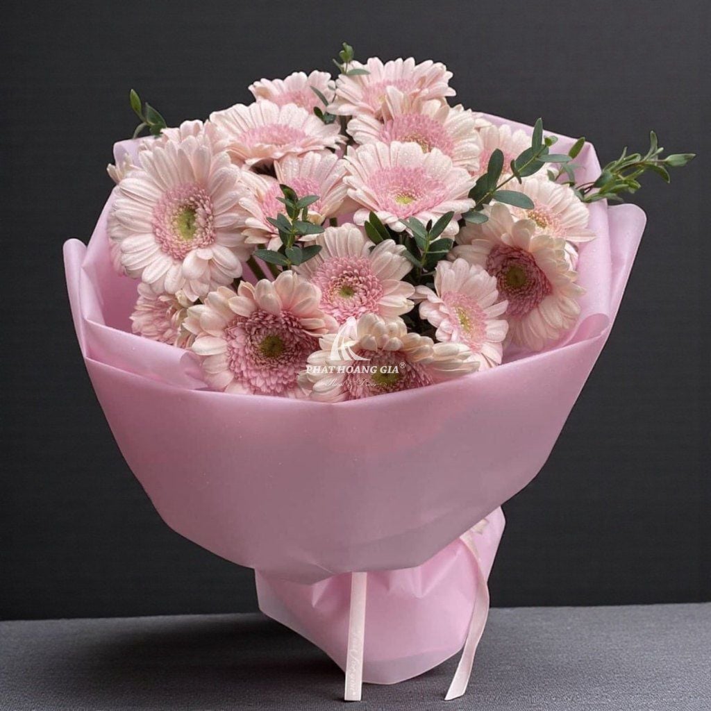 Hoa Đồng Tiền - Kề Bên 5 - 26183