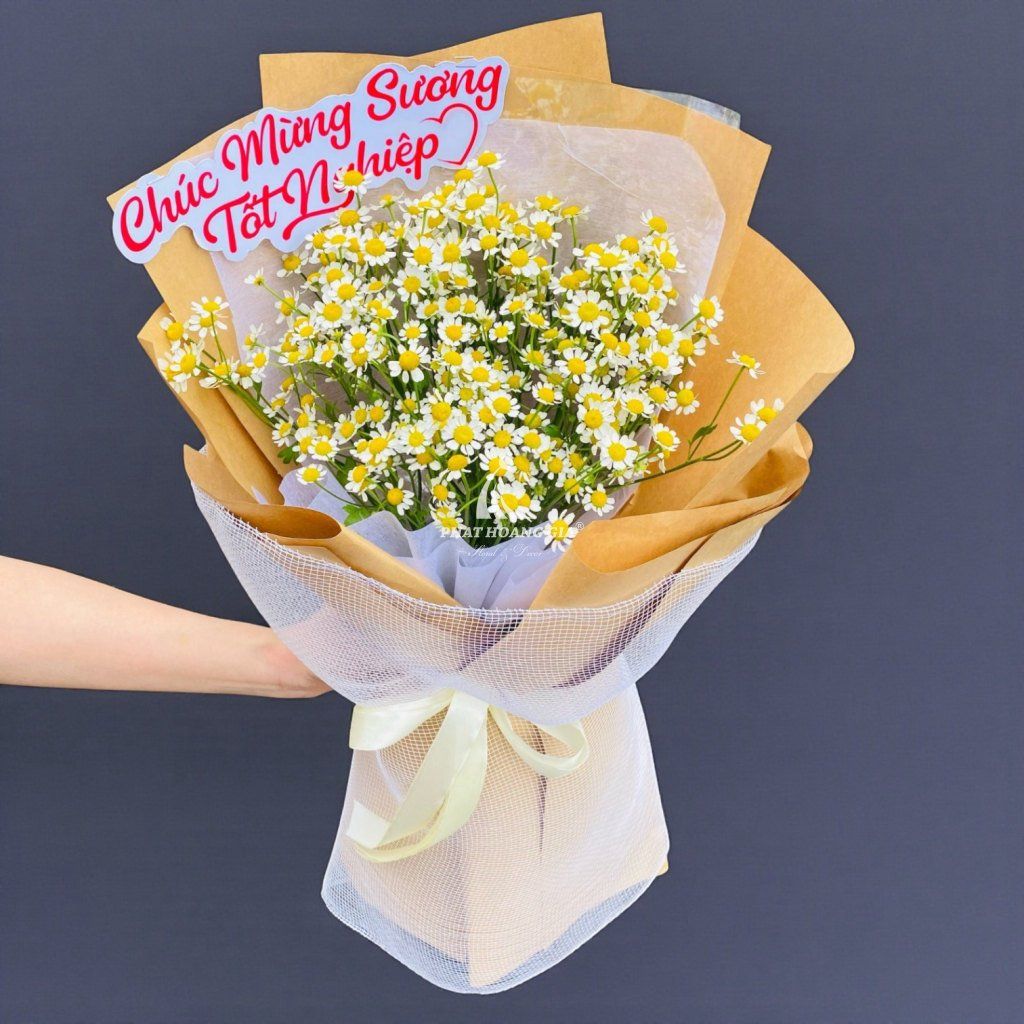 Hoa Cúc Tana - Little Tana 1 - 27339