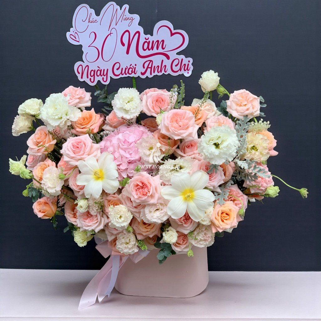 Hoa khai trương - Bông Hoa Đẹp Nhất 5 - 27502