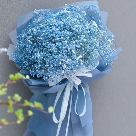  Ngày của Cha - Hy Vọng Mới 4 - 27859 