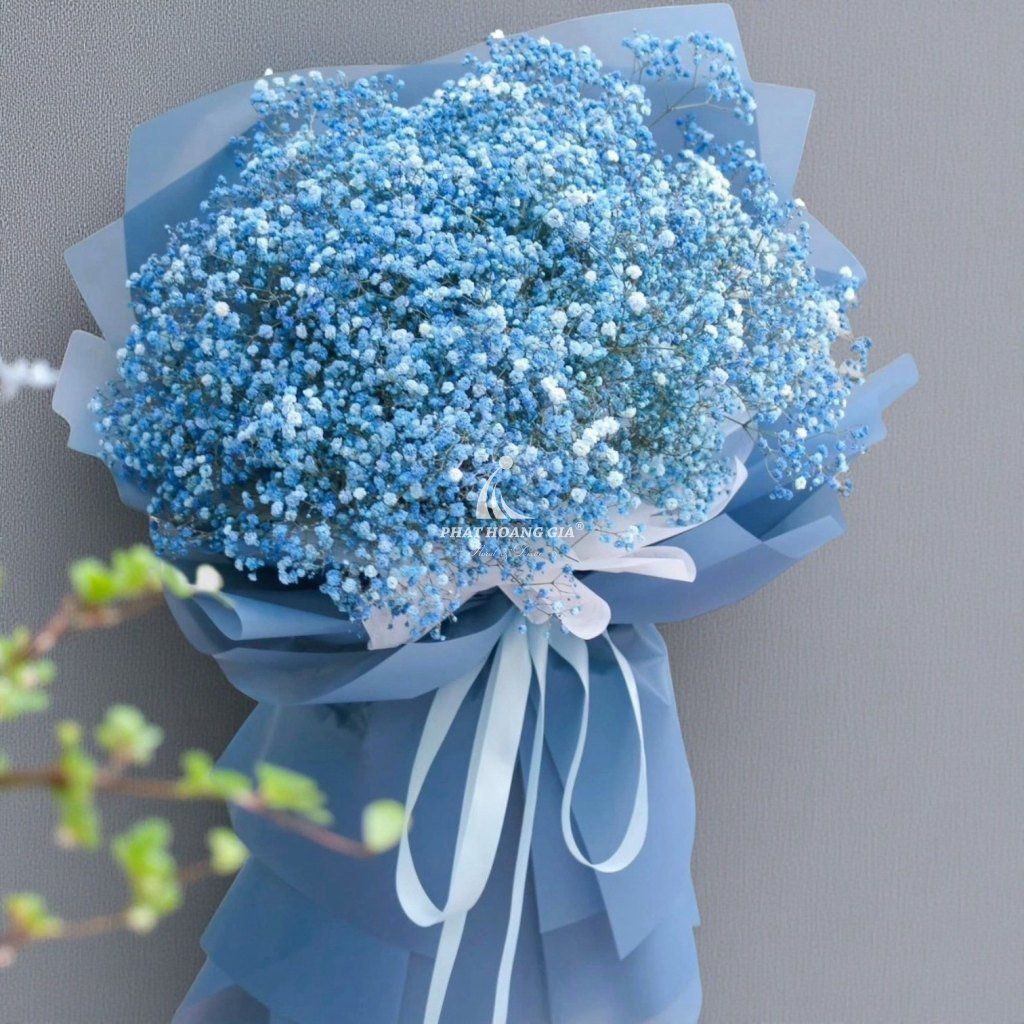 Hoa Baby - Hy Vọng Mới 4 - 27852